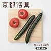 京都活具 ヒノキのまな板 正方形 23×23cm 厚板一枚板
