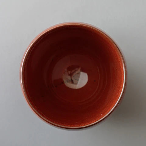39Arita 有田焼 ダブルウオールカップ 鉄赤