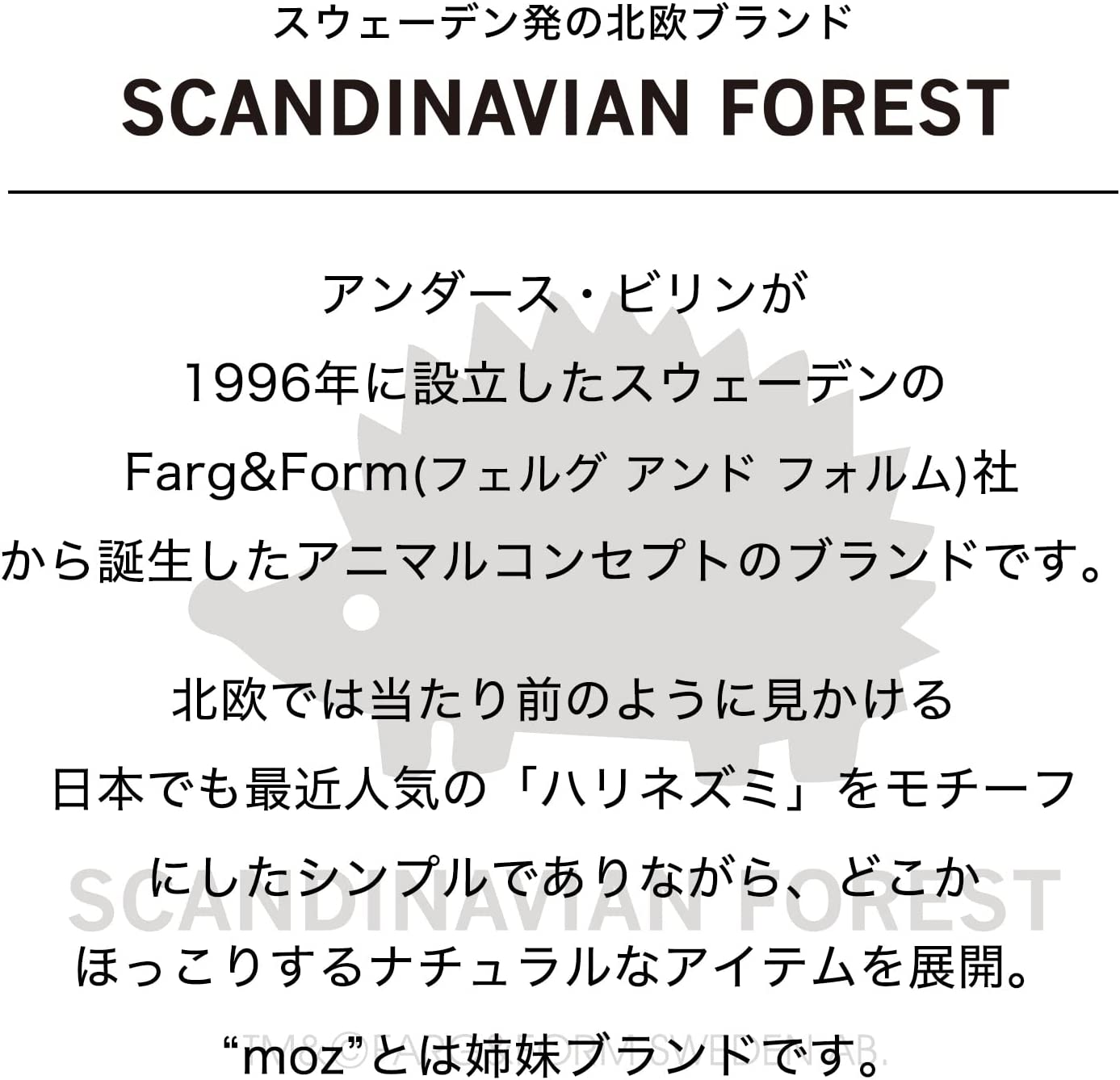 SCANDINAVIAN FOREST 湯たんぽ 充電式 素早く充電 長時間あたたか お湯の入れ替え不要 コードレス レッド