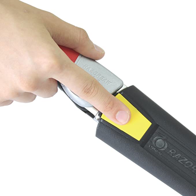 玉鳥産業 レザーソー SELECT200 果樹 156 レッド